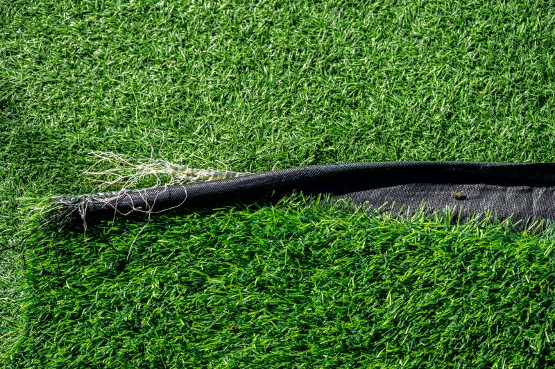 Grass Repair detail