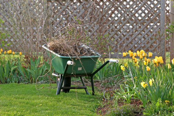Flower Bed Cleanup Service in Hilton Head Island
