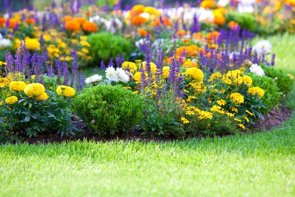 Flower Bed Maintenance in Hilton Head Island
