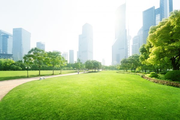 Commercial Landscape Maintenance in Hilton Head Island