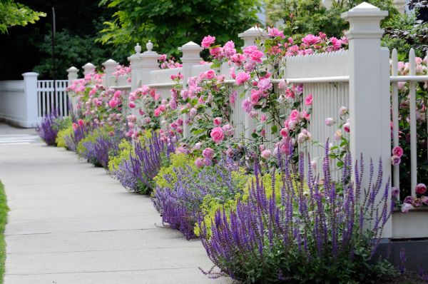 Garden Handyman Service in Hilton Head Island