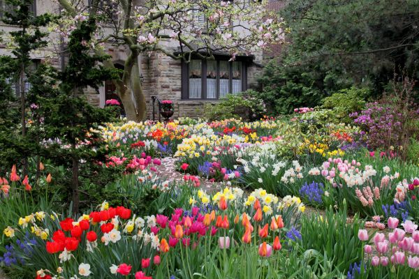 Garden Maintenance Service in Hilton Head Island