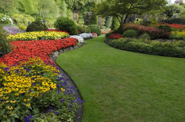 Landscaping Maintenance in Hilton Head Island