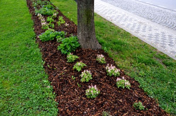 Mulch Replacement Service in Hilton Head Island