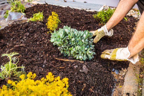 Weeding And Mulching in Hilton Head Island