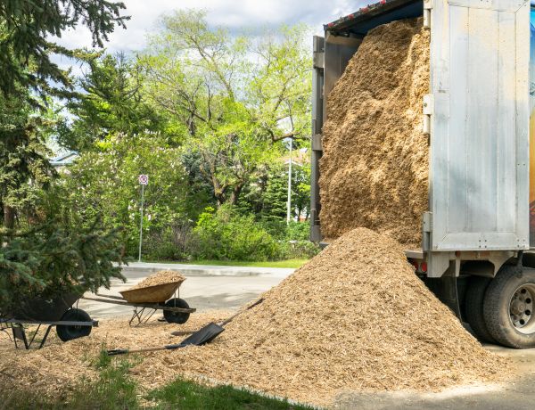 Wood Chips Delivery in Hilton Head Island