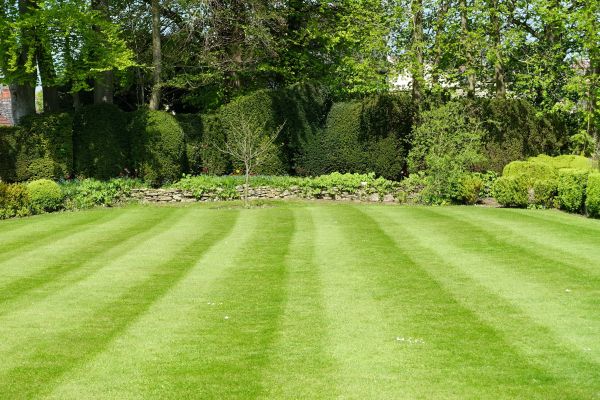 Lawn Renovation in Hilton Head Island