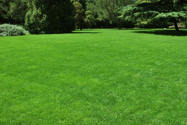 Lawn Landscaping in Hilton Head Island
