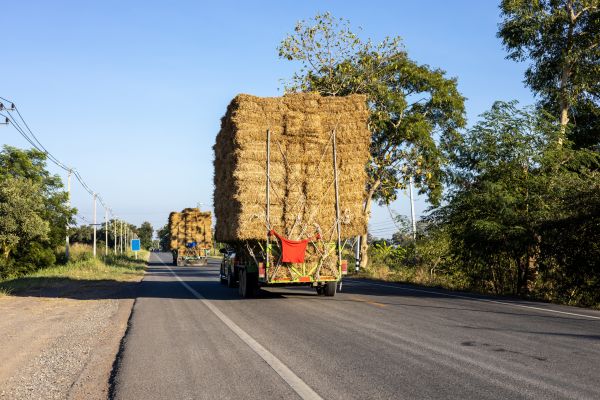 Pine Straw Delivery in Hilton Head Island