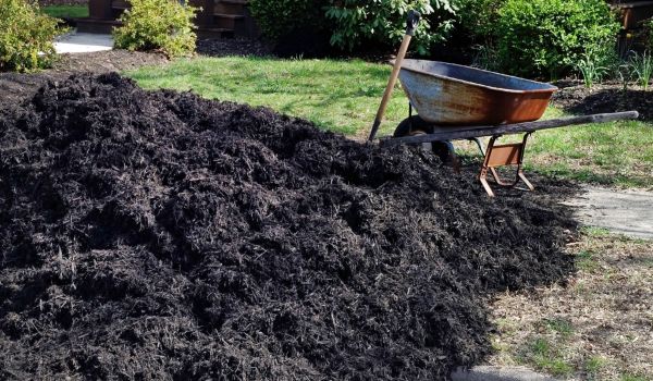 Black Mulch Delivery in Hilton Head Island