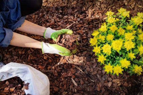 Garden Mulching in Hilton Head Island