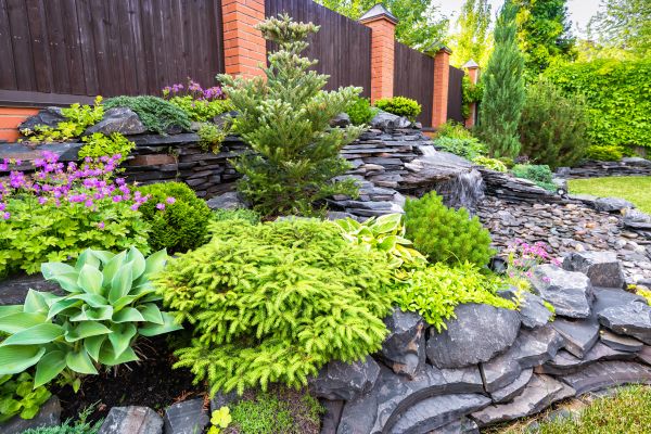 Landscape Remodeling in Hilton Head Island