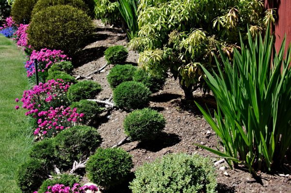 Residential Gardening in Hilton Head Island