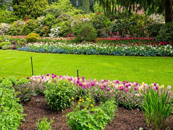 Residential Landscape Design in Hilton Head Island
