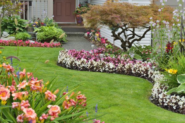Perennial Landscaping in Hilton Head Island