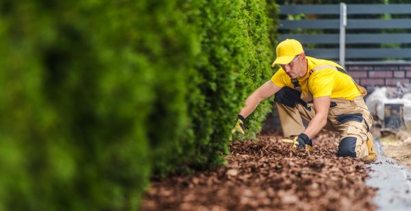 Cypress Mulch Installation in Hilton Head Island