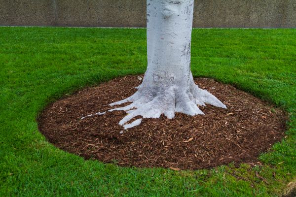 Brown Mulch Installation in Hilton Head Island