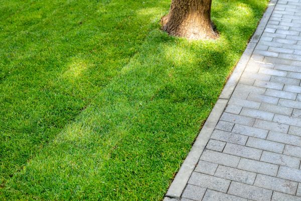 Border Stone Installation in Hilton Head Island
