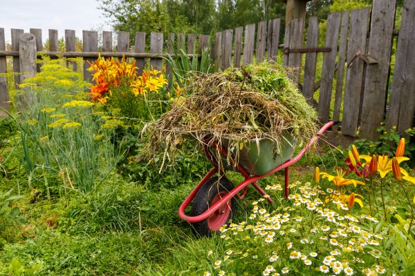 Garden Cleanup Service in Hilton Head Island