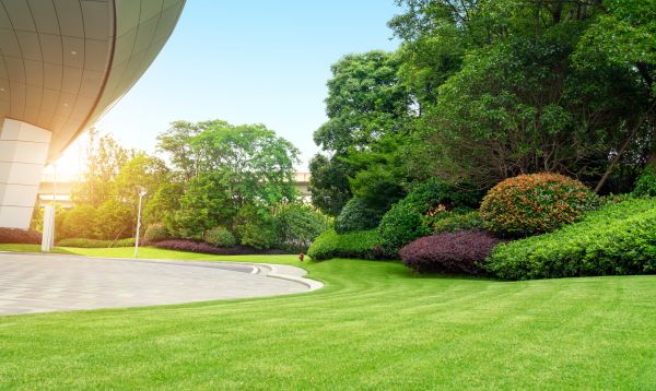 Business Landscape Design in Hilton Head Island
