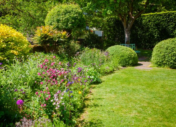 Yard Landscaping Service in Hilton Head Island