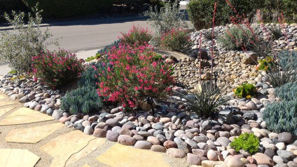 Xeriscape Landscaping in Hilton Head Island