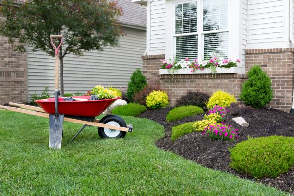 Tree And Shrub Planting in Hilton Head Island