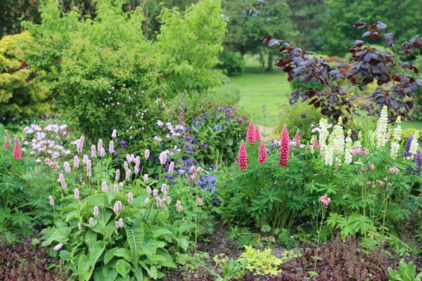 Flower Bed Planting in Hilton Head Island