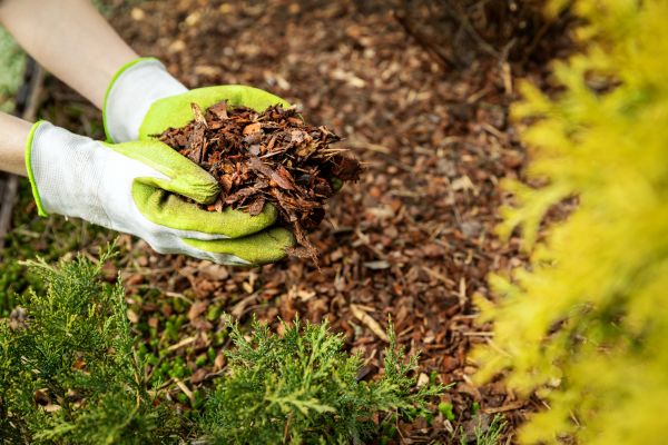 Garden Mulch Delivery in Hilton Head Island