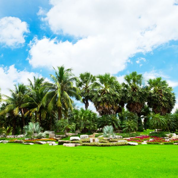 Tropical Landscaping in Hilton Head Island