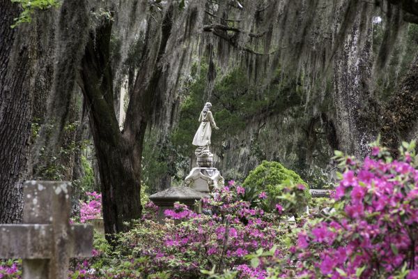 Cemetery Landscaping in Hilton Head Island