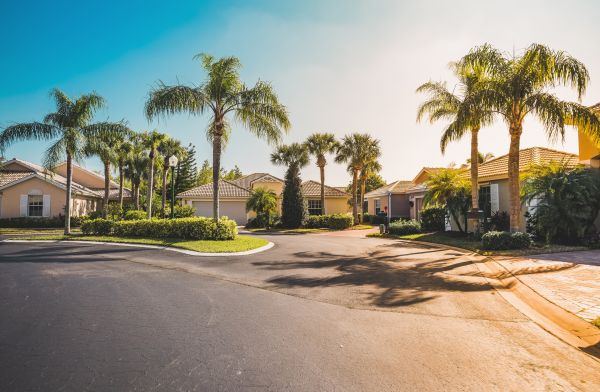Palm Tree Landscaping in Hilton Head Island