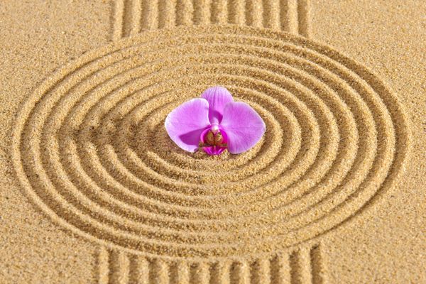 Sand Garden Landscaping in Hilton Head Island