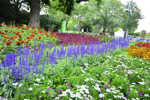 Perennials Planting in Hilton Head Island
