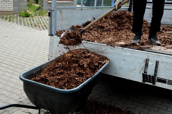 Cypress Mulch Delivery in Hilton Head Island