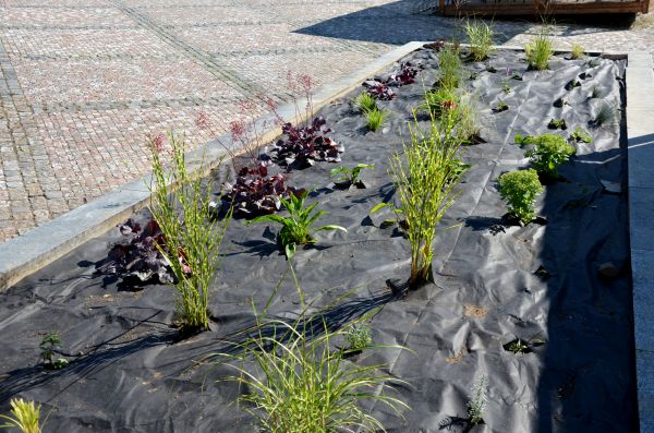 Landscape Fabric Installation in Hilton Head Island