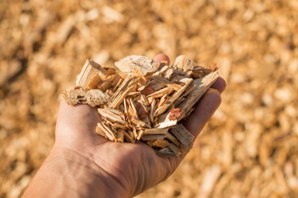 Wood Chips Spreading in Hilton Head Island