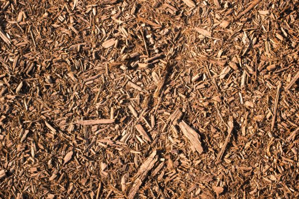 Wood Chips Removal in Hilton Head Island