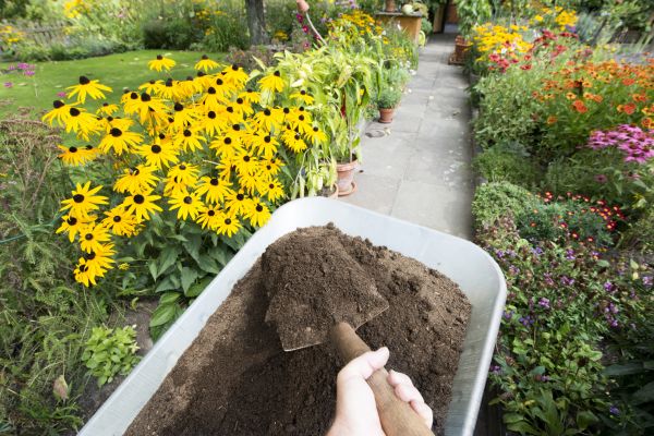 Topsoil Replacement in Hilton Head Island