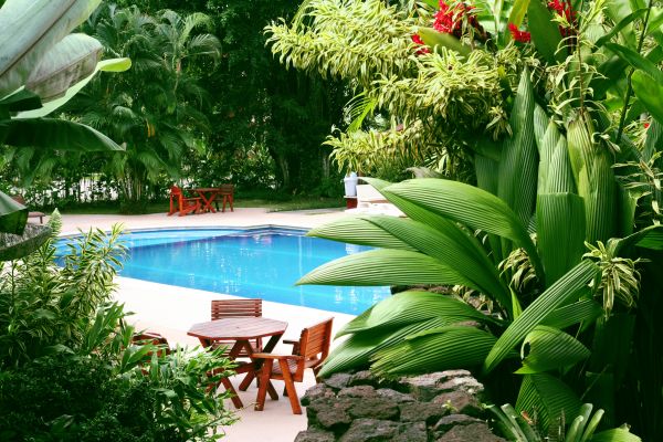 Pool Area Landscaping in Hilton Head Island
