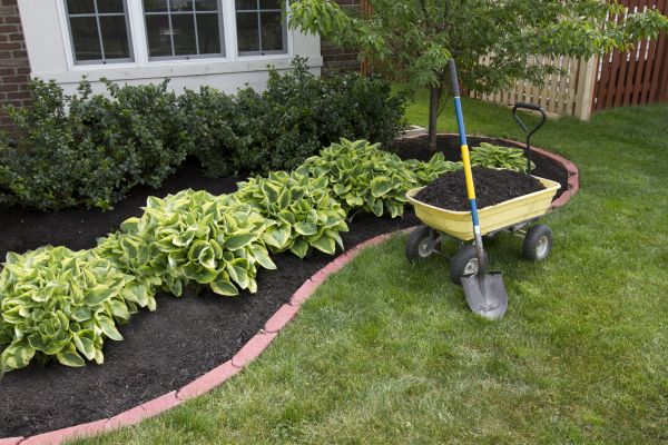 Landscape Mulching in Hilton Head Island