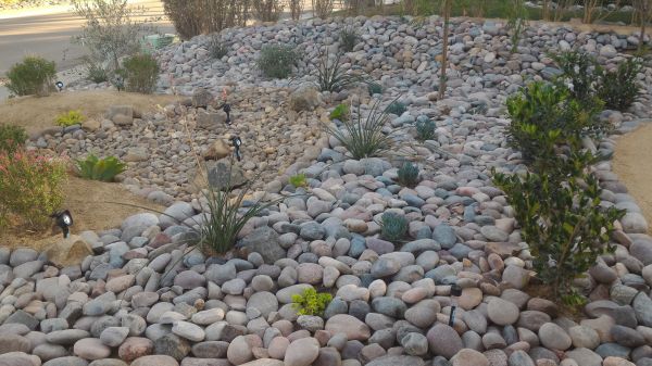 Yard Xeriscaping in Hilton Head Island