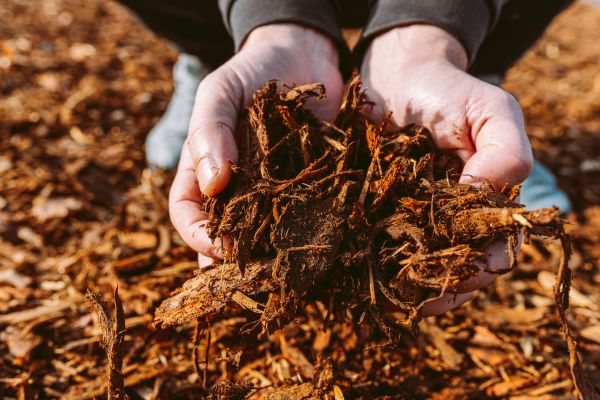 Bark Chips Delivery in Hilton Head Island