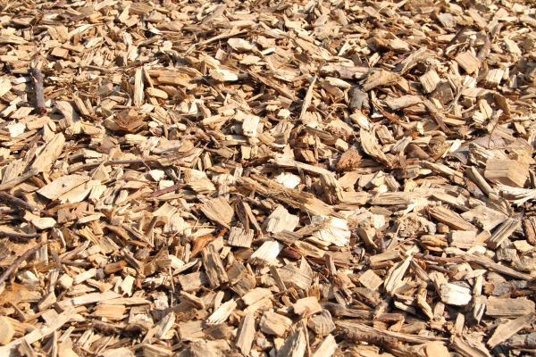 Wood Mulch Delivery in Hilton Head Island
