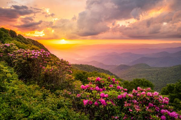 Hill Landscaping in Hilton Head Island