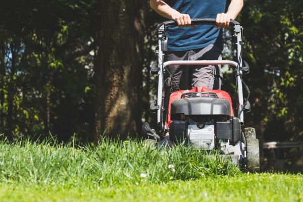Garden Trimming Service in Hilton Head Island