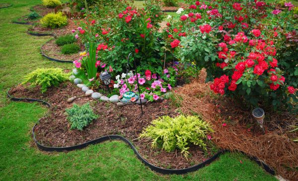 Floral Landscaping in Hilton Head Island