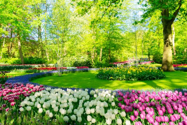 Flower Landscaping in Hilton Head Island