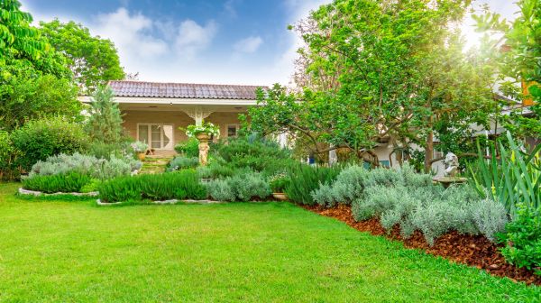 Greenery Planting in Hilton Head Island