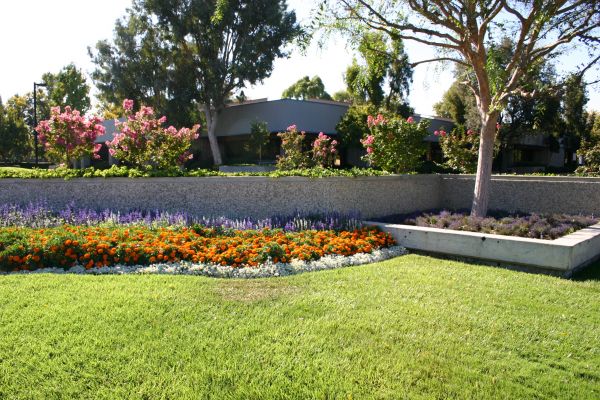 Commercial Landscape Service in Hilton Head Island